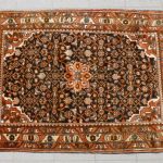 1023 4406 ORIENTAL RUG